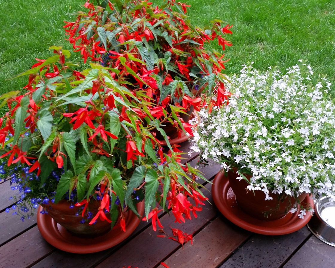 Проект Троицкое